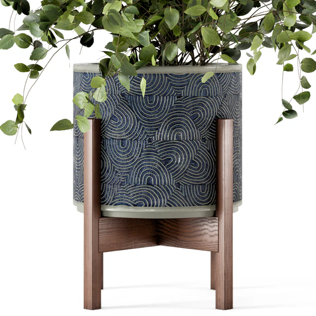 Indoor Plants in rusty Concrete Pot - Set 244 — Descargar