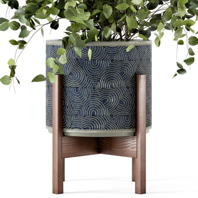 Indoor Plants in rusty Concrete Pot - Set 244 — Ver 5