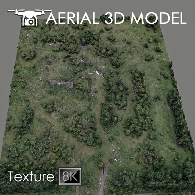 Forest 60 — Descargar