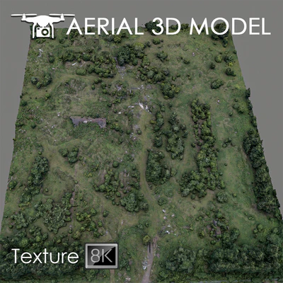 Forest 60 — Ver 4