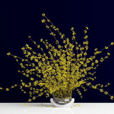 Форзиция/Forsythia — Вид 1