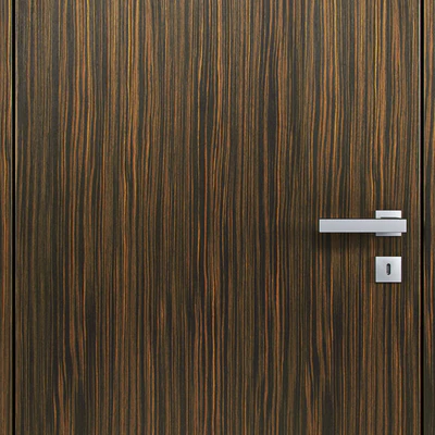 Doors Barausse — Ver 2
