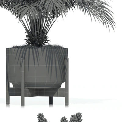 Plants collection 68 Modernica pots — Ver 2