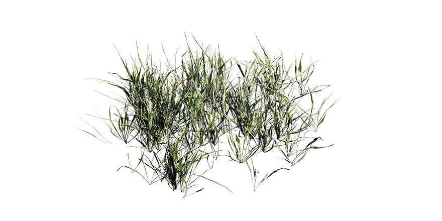 grass clumps 004 — Скачать