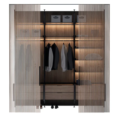 Built-in hallway ARMADIO DANDY — Ver 1