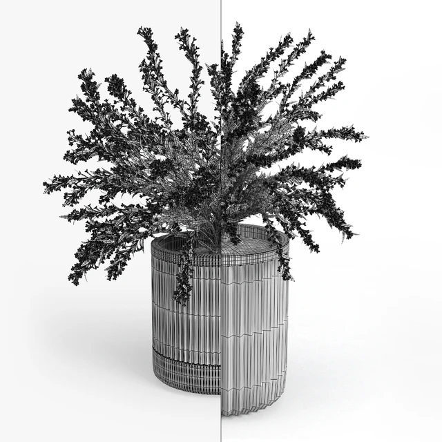 Cozzo planter weigela — Download