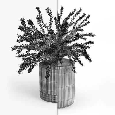 Cozzo planter weigela — View 5