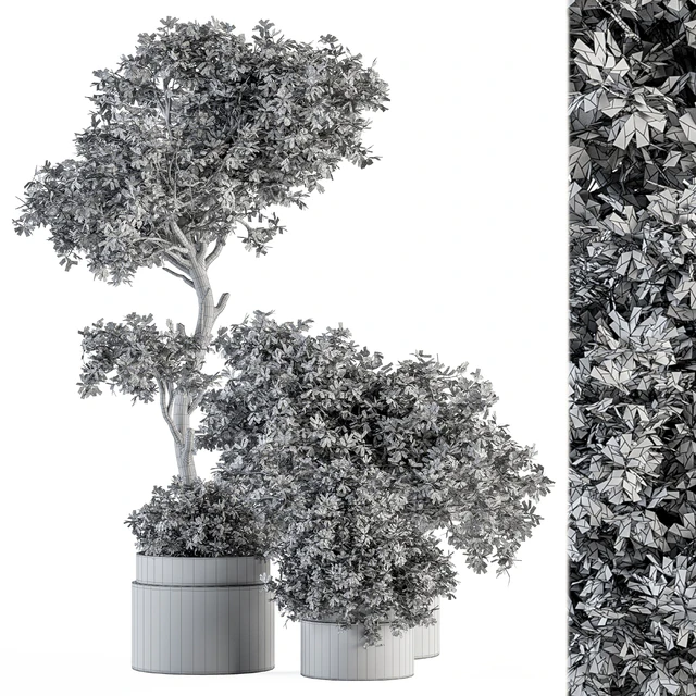 Outdoor Plant Set 373 - Plant Set in Concrete Pot — Скачать