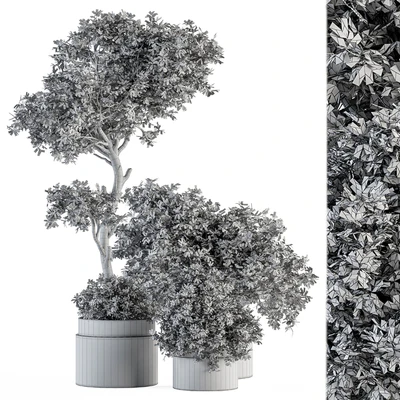 Outdoor Plant Set 373 - Plant Set in Concrete Pot — Вид 5