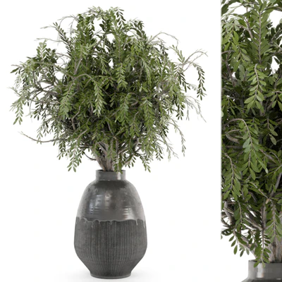 Bouquet Plants in rusty Concrete Pots - Set 562 — descargar