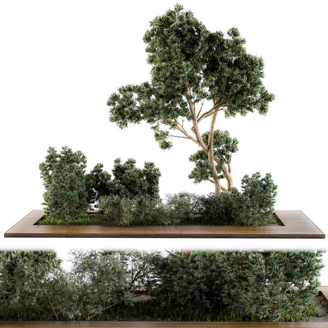 Garden set bush and Tree - Garden Set 06 — Скачать