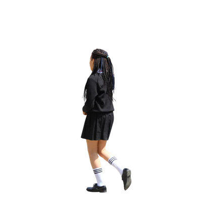 1306 — Скачать