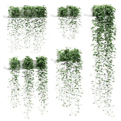 Ivy for shelves — Ver 1