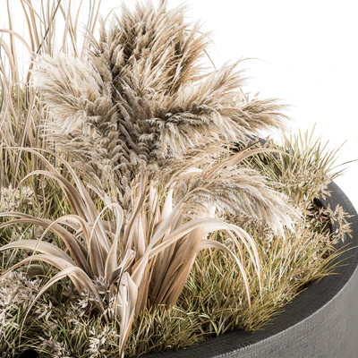 Outdoor Plants tree in Concrete Pot - Set 147 — Вид 4