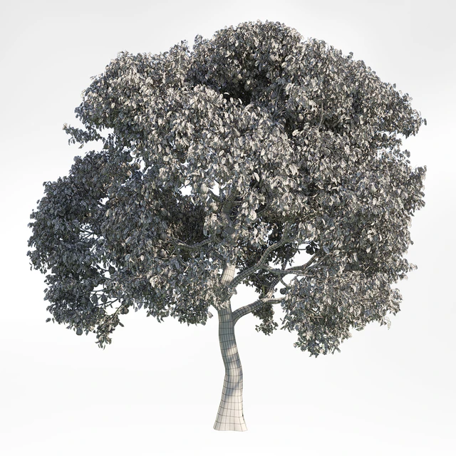 Pear Tree 8 — Скачать