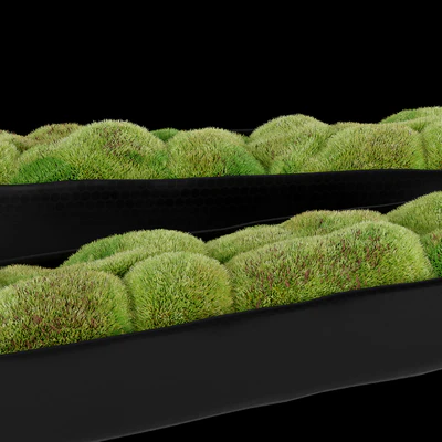 Rh organic sculpted trough — Ver 2