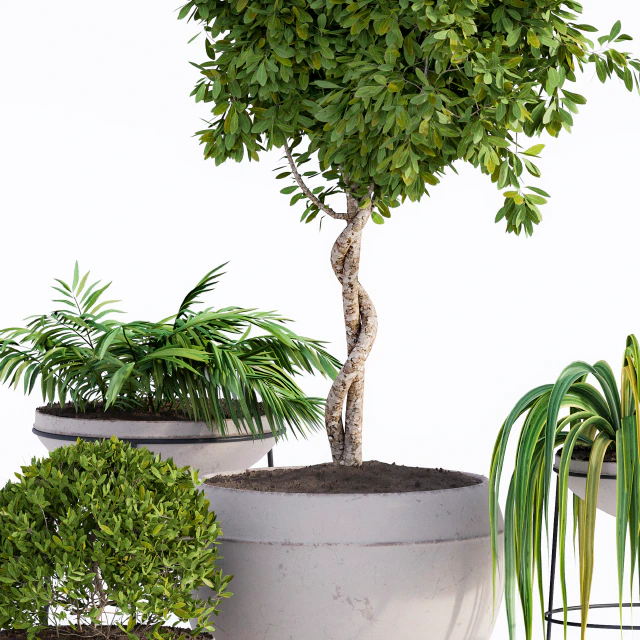 Outdoor Plants Full Set — Download