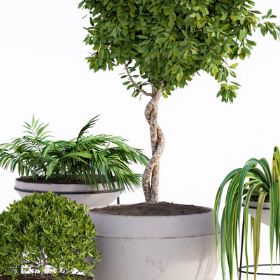 Outdoor Plants Full Set — View 5
