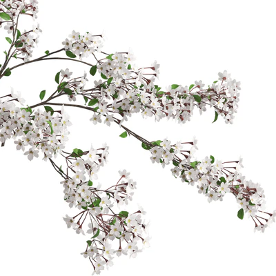 Vases with Branches White Cherry — Ver 3
