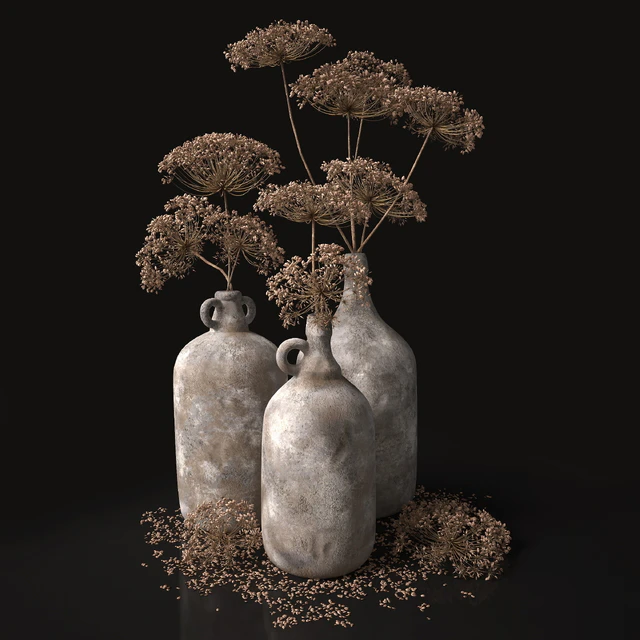 Jugs with dry dill stalks — Descargar