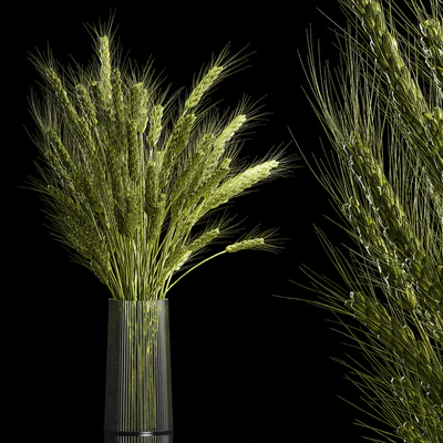 Bouquet of green flowers in a glass vase for decoration of wheat branches, spikelet. 265. — Ver 1