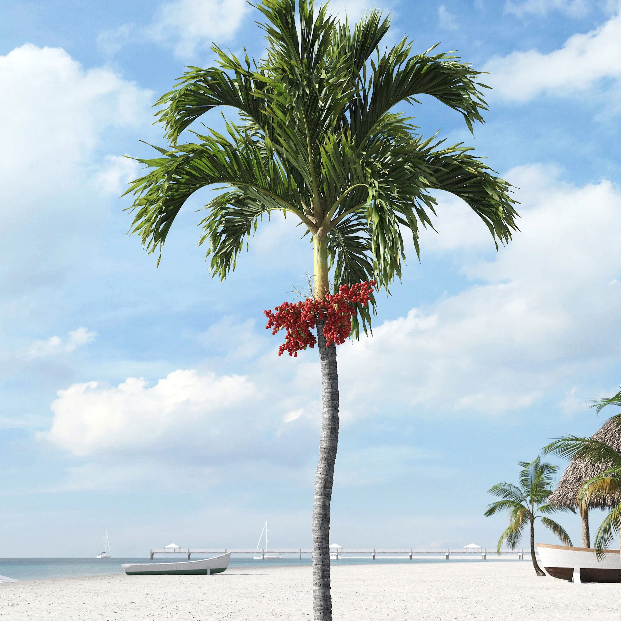 palm trees 003 — Скачать