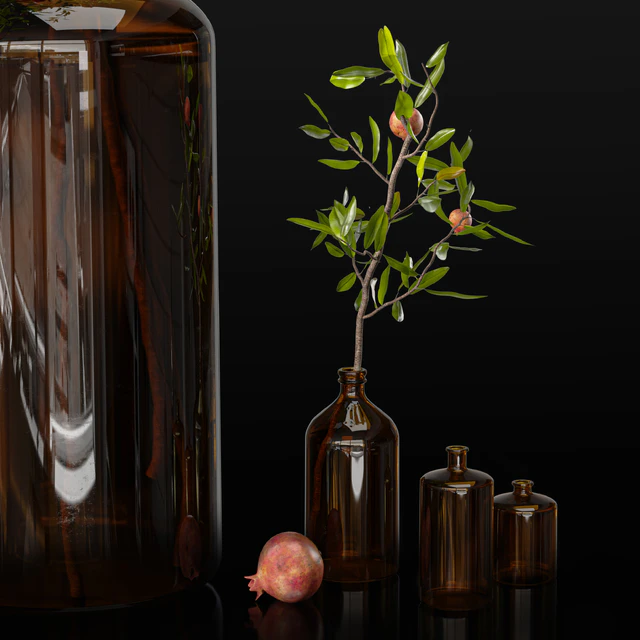 Pomegranate branches in pharmacy bottles — Descargar