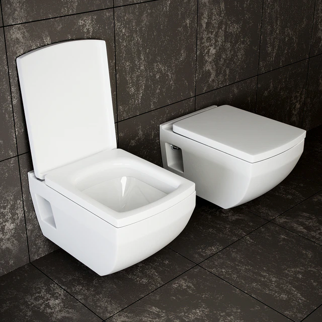 Washdown wall-hung toilet AW-806 — Descargar