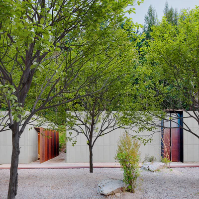 Plum tree — Ver 5