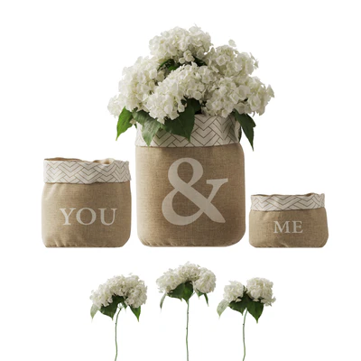 white hydrangea changeable vase — Ver 1
