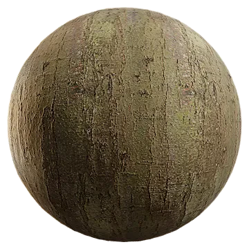alder bark 002 — Download