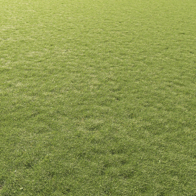 Lawn Grass 01 — Descargar