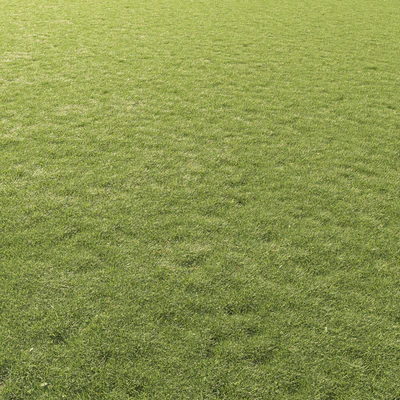 Lawn Grass 01 — Ver 5