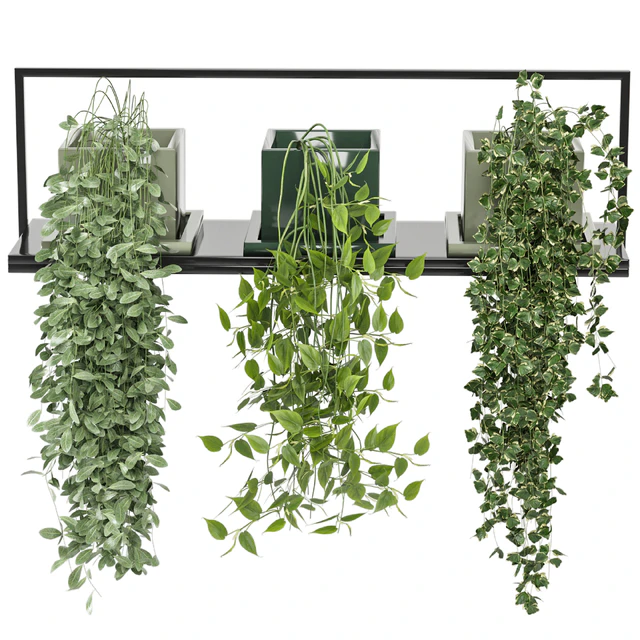 indoor plants in rusty concrete pot on metal shelf - Set 107 — Скачать