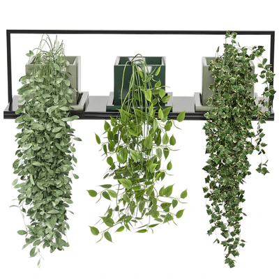 indoor plants in rusty concrete pot on metal shelf - Set 107 — Вид 5