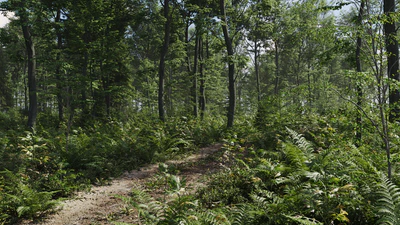 biome 03 — download