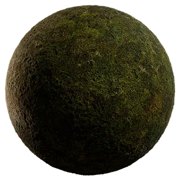 nordic moss 002 — Descargar