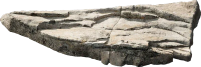 forest rock slab 002 — Скачать