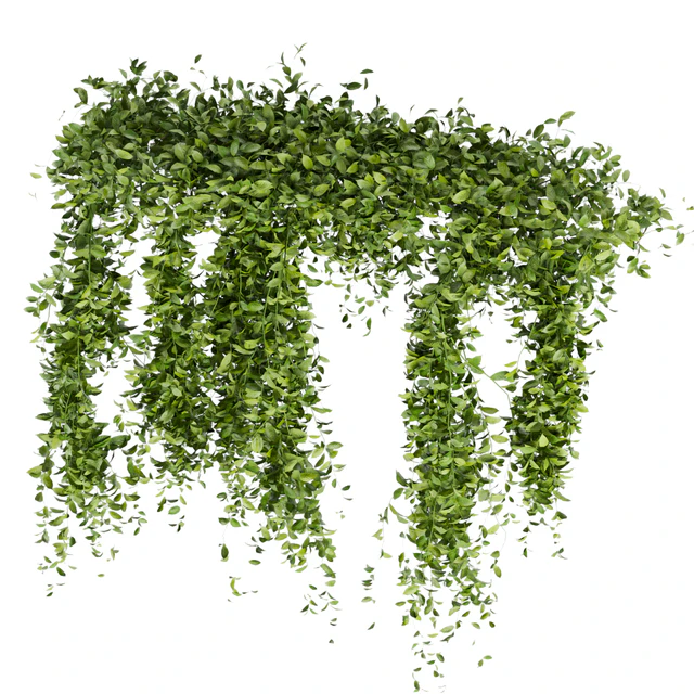 Collection Plant Vol 293 - Fitowall - Leaf - Ivy — Descargar