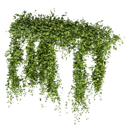 Collection Plant Vol 293 - Fitowall - Leaf - Ivy — Ver 4