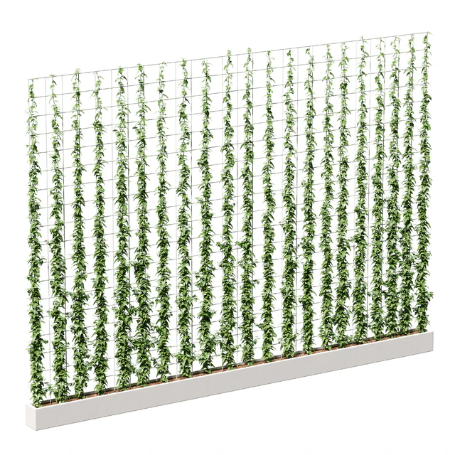 Ivy on the grid — Descargar