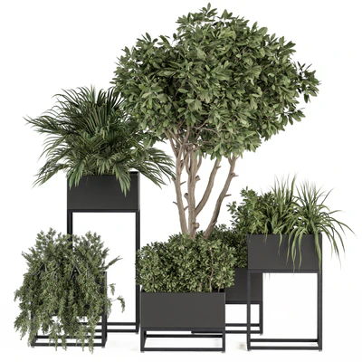 indoor Plant Set 327 - Plant Set in Black Box — Ver 1