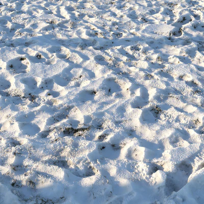 Grass under the snow (material) — Ver 4