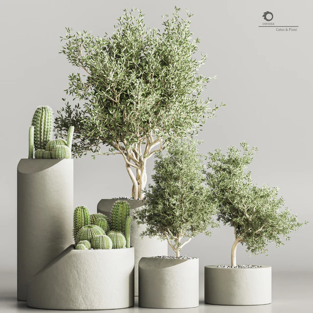 cactus & plant vol 04 — Скачать