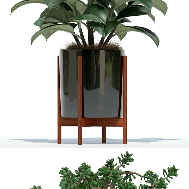 Plants collection 72 Modernica pots — Скачать