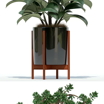 Plants collection 72 Modernica pots — Вид 2