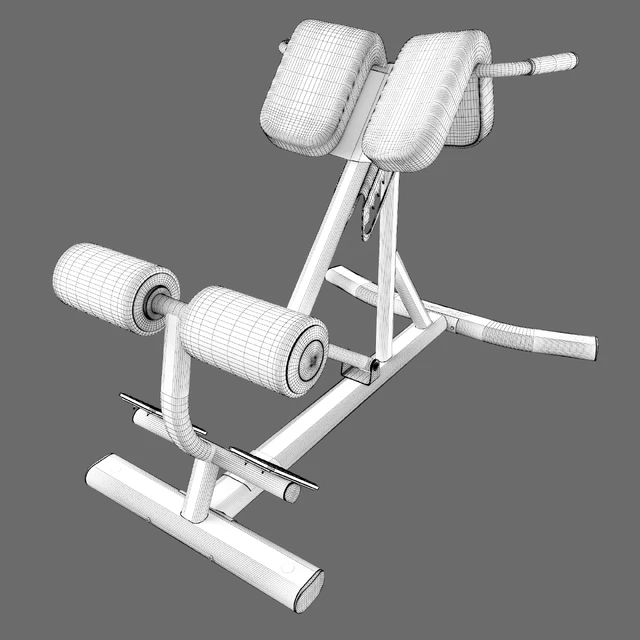 Lifefitness Signature Series Back Extension — Download