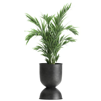 Collection of plants in black metal pots with Strelitzia, banana palm, Alokasia, rapeseed. Set 897. — Ver 4