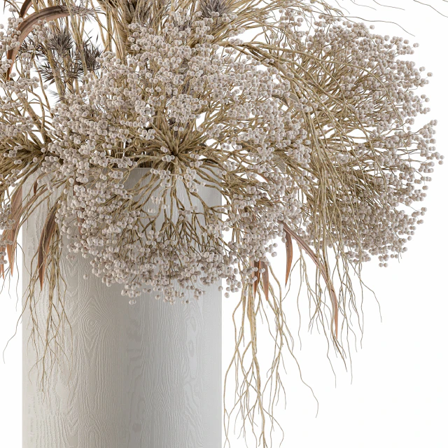 Dry Plants Set 08 — Descargar