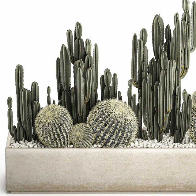 Collection of desert plants in a vase of cacti, cereus and echinocactus, barrel cactus. Set 1097. — Descargar